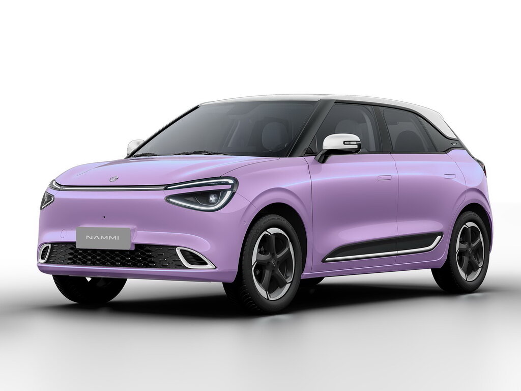 Dongfeng Nammi 01