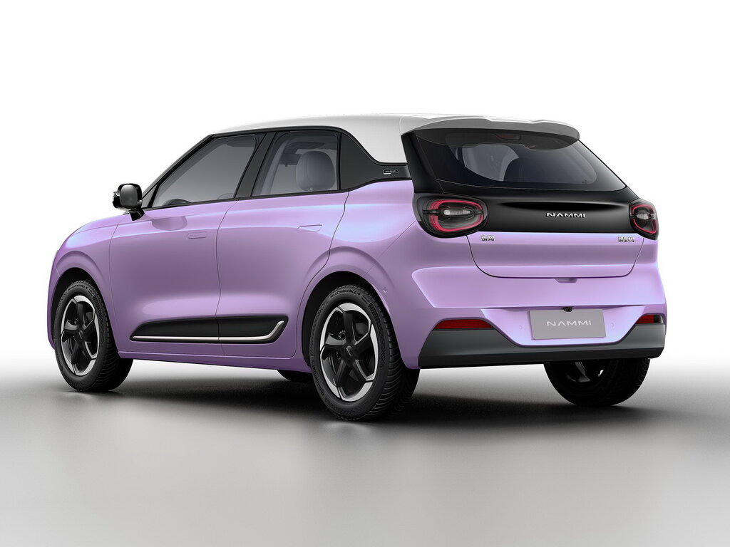 Dongfeng Nammi 01, фото 2